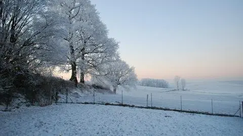 Prószy śnieg i temperatury są głównie na minusie. Ale już niedługo się ociepli
