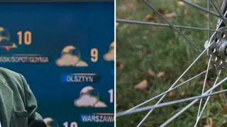 "Niektórzy nawet do lasu muszą samochodem"