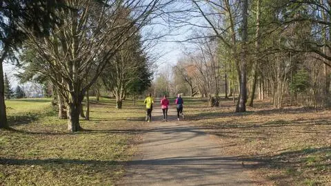 Korzystny biomet, do 19 stopni. Pogoda na dziś