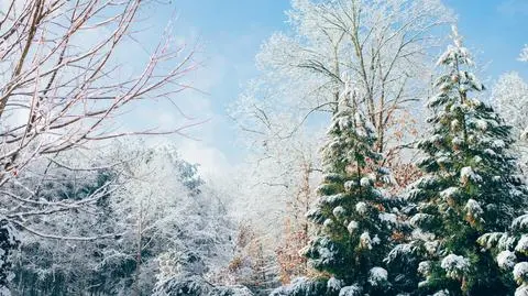 Prognoza pogody na dziś: mroźno, ale przeważnie pogodnie
