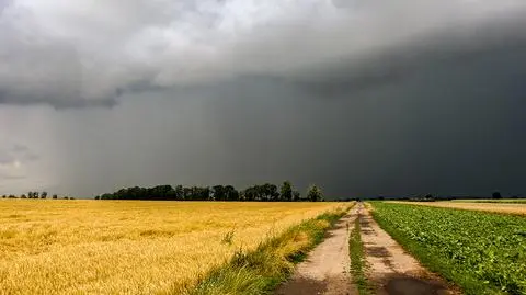 Pojawią się burze