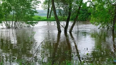 Do soboty może spaść nawet 150 litrów deszczu. Wzbiorą rzeki