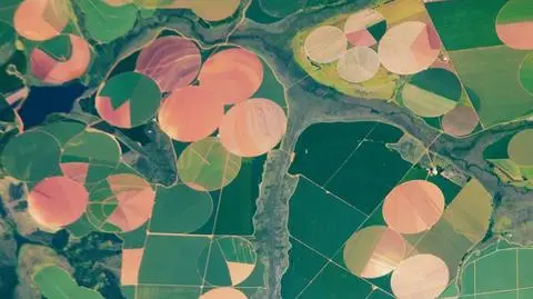 Geometryczne pola uprawne w Brazylii