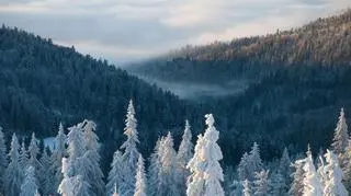 Śnieg spadnie m.in. w górach