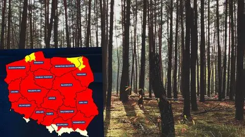 Cztery kolejne nadleśnictwa z zakazem wstępu do lasu. Duże ryzyko pożarów