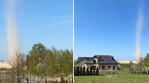 Diabełek pyłowy w okolicach Legnicy 