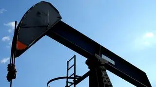 Wydobycie ropy w Ogoniland oficjalnie skończyło się w 1993