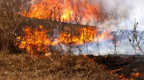 Jedna ofiara, karambol i 170 interwencji strażackich