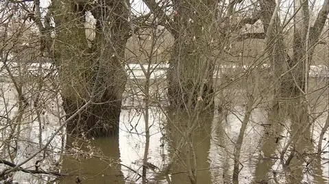 Odwołano alarm przeciwpowodziowy w Płocku. "Obserwuje się spadki stanu wody"