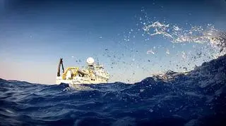 Ostatnie badania oceanologów wykazały, że duże obszary wód Zatoki Meksykańskiej są ubogie w tlen 