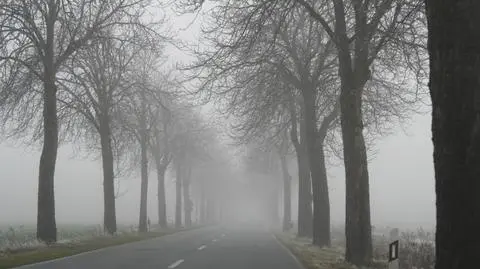 Pojawią się mgły osadzające szadź