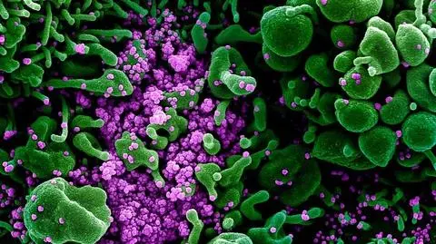 COVID-19 a grypa. Jak odróżnić pierwsze objawy. Pytania i odpowiedzi