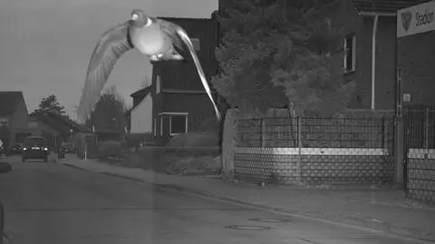 Przekroczył prędkość i wychwycił go fotoradar