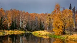 Nad Polską będą krążyć deszczowe chmury