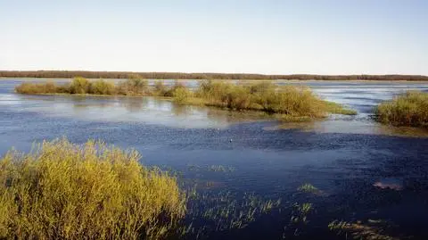 Spłonęło 70 ha parku narodowego. Podpalenie?