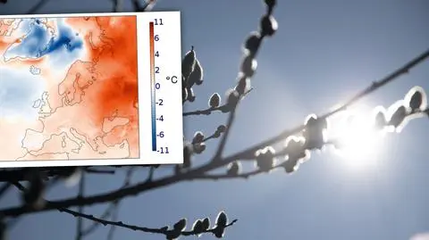 Naukowcy podsumowali marcową temperaturę