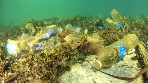 W oceanach znajdują się miliony ton plastiku