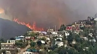 W Chile płonęły lasy