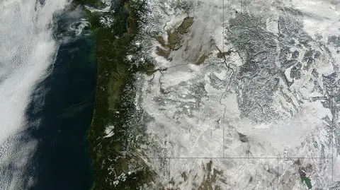 Zimowe prognozy dla USA się sprawdziły. Śnieg nawet w stanach z klimatem subtropikalnym