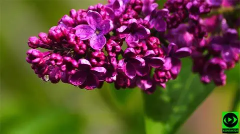 Nadeszła zimna Zośka. Temperatura spadła, choć widać już kres ochłodzenia