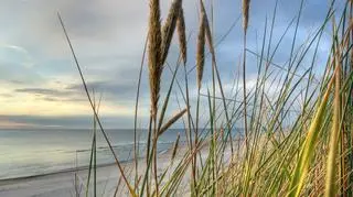 Plaża w Dźwirzynie