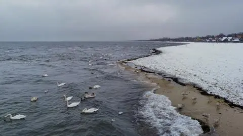 Klika dni temu w Sopocie - śnieżyce, ciemne chmury, białe plaże, chwilowe przejaśnienia... Czy to ostatnie podrygi zimy?