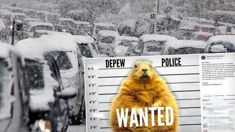 Policjanci z Depew aresztowali zimę