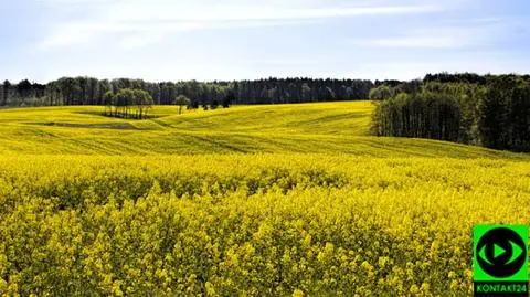 W wielu regionach zaświeci słońce