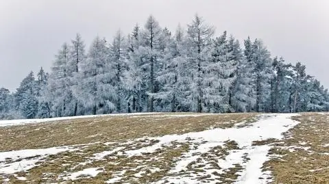 W Suwałkach będzie nawet -18 st. C