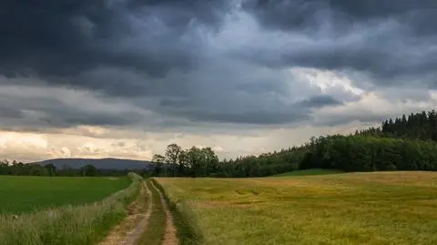 Pogoda na dziś: piątek będzie deszczowy, może też zagrzmieć