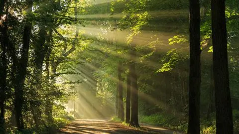 Słońca w czwartek nie zabraknie