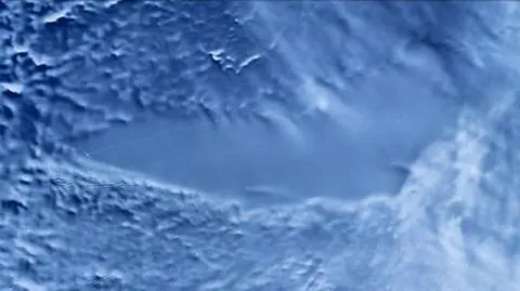 Ślady życia pod lodami Antarktydy. Znajdą nieznane organizmy?