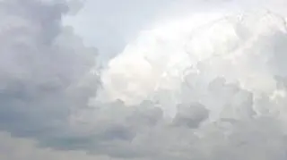 Widzicie głowę strusia na zdjęciu Reportera 24?