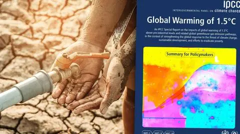 Klimat stale się ociepla