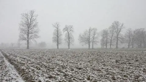 Pogoda na najbliższe dni nie napawa optymizmem. Drastycznie spadnie ciśnienie
