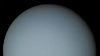 Zdjęcie Urana wykonane przez sondę Voyager w 1986 r.