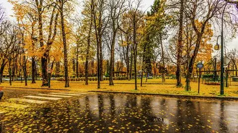 Czekają nas cieplejsze, ale deszczowe dni