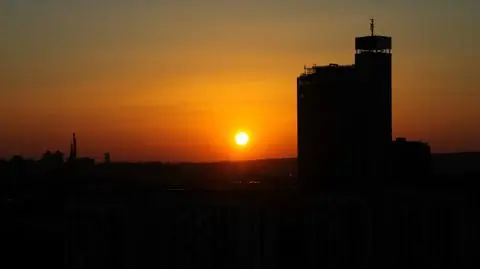 Katowice są coraz cieplejsze. W badaniach klimatu pomogły drzewa