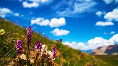 Prognoza pogody na dziś: zza chmur wyjrzy słońce. Miejscami jednak zbiorą się deszczowe chmury