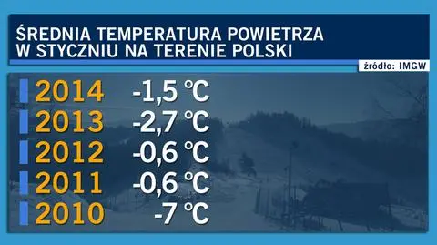 W Poznaniu przyroda budzi się do życia. A jeszcze 5 lat temu średnia temperatura w styczniu wynosiła -7 st. C