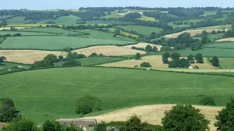 Ponad tysiąc polskich gmin zagrożonych suszą