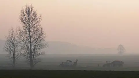 Tegoroczna zima jest niespecjalnie zimowa