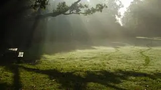 W sobotę nad ranem w Suwałkach tylko 2 st. C 