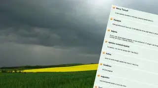 Komentarze internautów są bardzo ważne