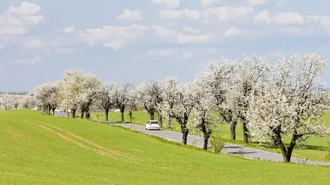 Suche drogi w prawie całym kraju