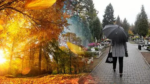 Cieszmy się słońcem
