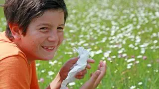 Utrzymuje się wysokie stężenie pyłku traw