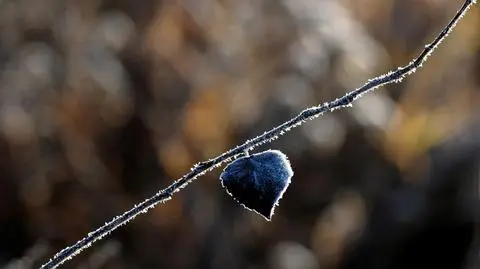 Tydzień z zimnem, deszczem i śniegiem