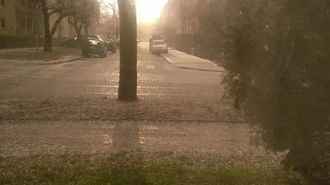 Aktualnie czytasz: W prima aprilis Polskę zabielił grad