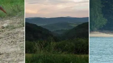 Masz wolny weekend? Jedź nad jezioro
